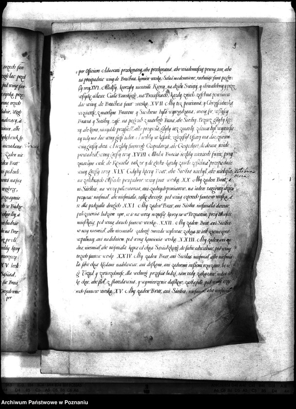 Obraz 13 z jednostki "Or. Władysław IV Król Polski... potwierdza w transumpcie 2 dokumenty: 1 /transumpt statutu cechu budniczego Zygmunta III z 22.IV.1615, potwierdzający"