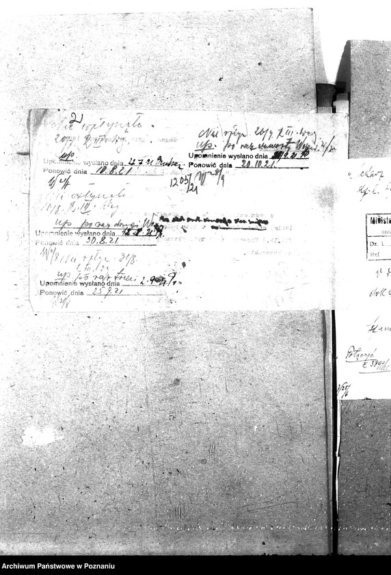 Obraz 6 z jednostki "Pow. lekarz Weterynaryjny Szamotuły"