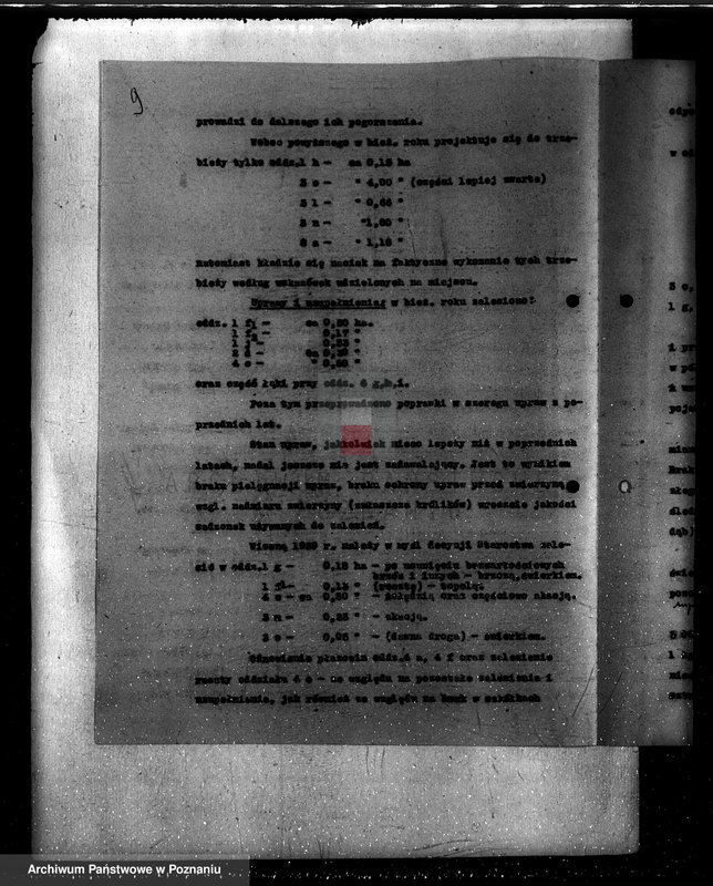 Obraz 13 z jednostki "Napachanie powiat poznański nadzór nad gospodarką leśną"