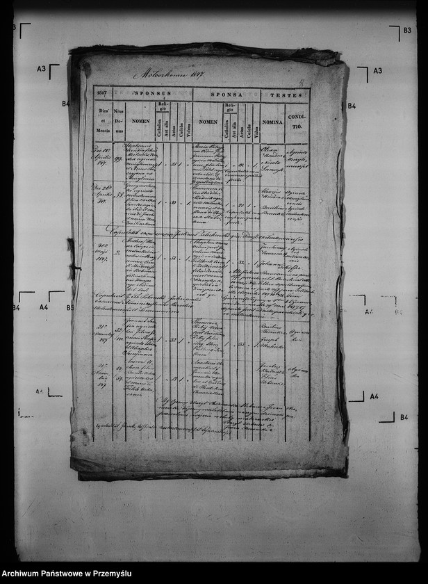Obraz 13 z jednostki "[Kopie ksiąg metrykalnych parafii Mołoszkowice z filią Leśniowice (dekanat Jaworów)]"