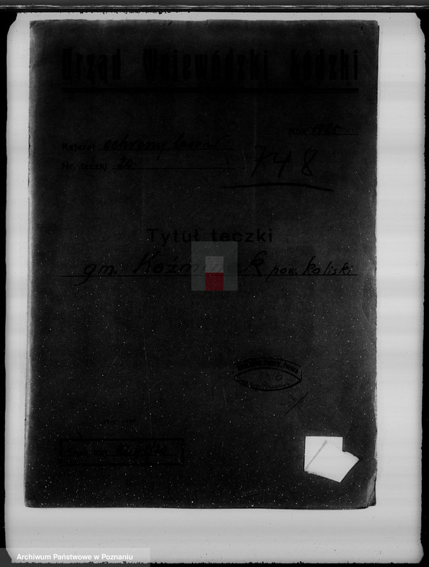 Obraz 4 z jednostki "Gmina Koźminek powiat kaliski /sprawy leśne/"