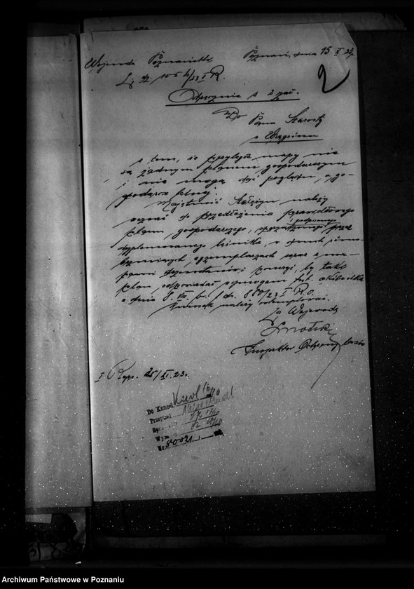 Obraz 6 z jednostki "Majętność leśna Stołężyn powiat wągrowiecki"