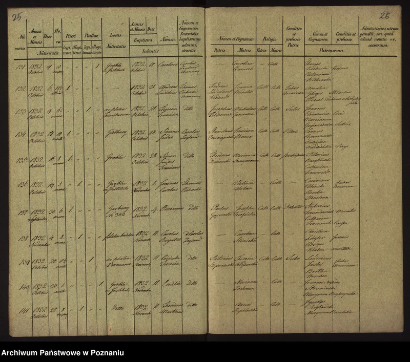 Obraz 16 z jednostki "Księga urodzin"