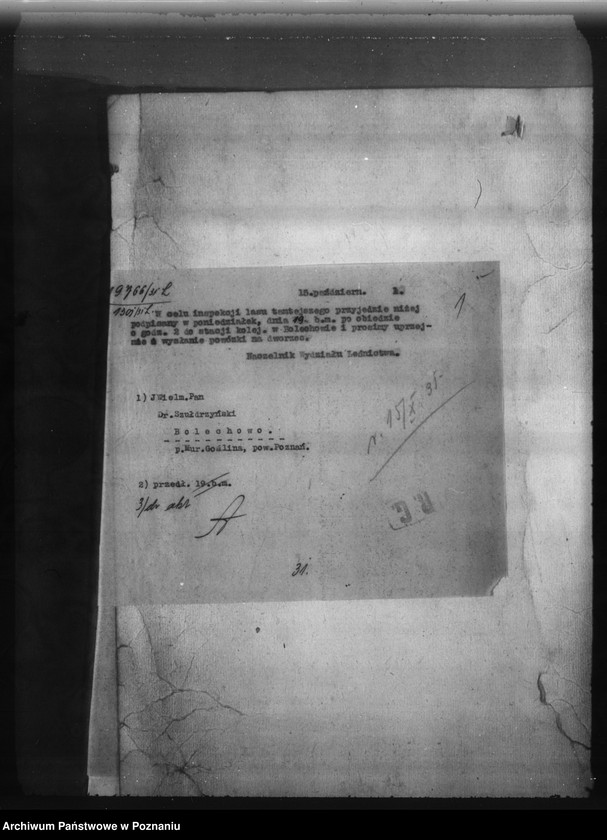 Obraz 5 z jednostki "Bolechowo powiat poznański /nadzór nad gospodarką leśną/"