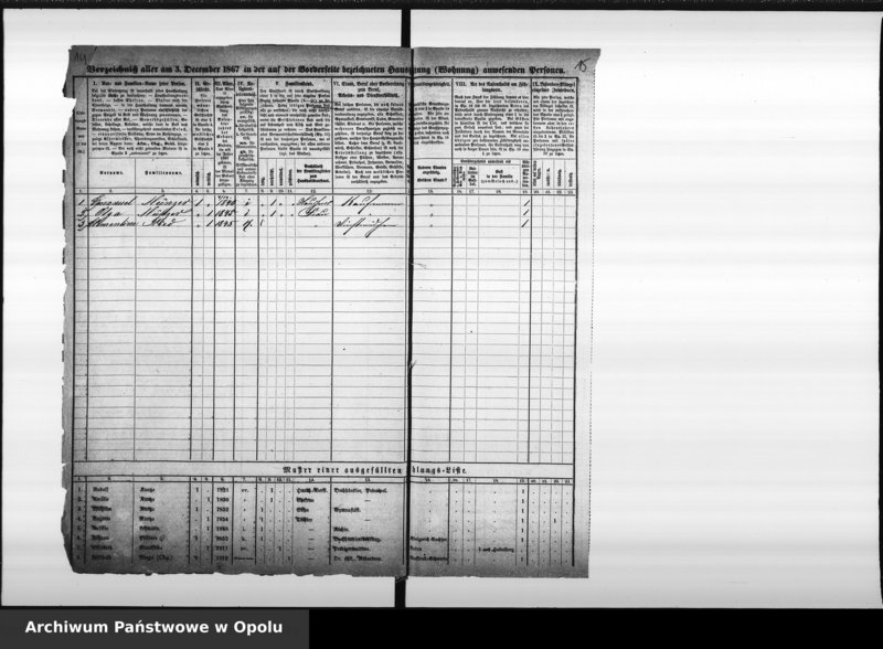 Obraz 12 z jednostki "Zählbezirk 9 [Spis ludności, 1867]"