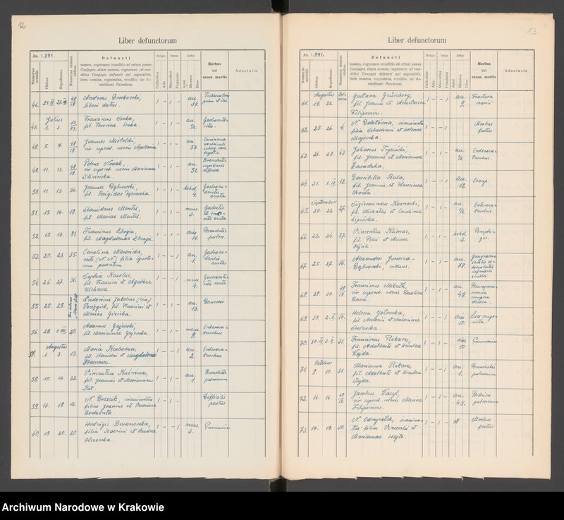 Obraz 10 z jednostki "[Księga zgonów]"