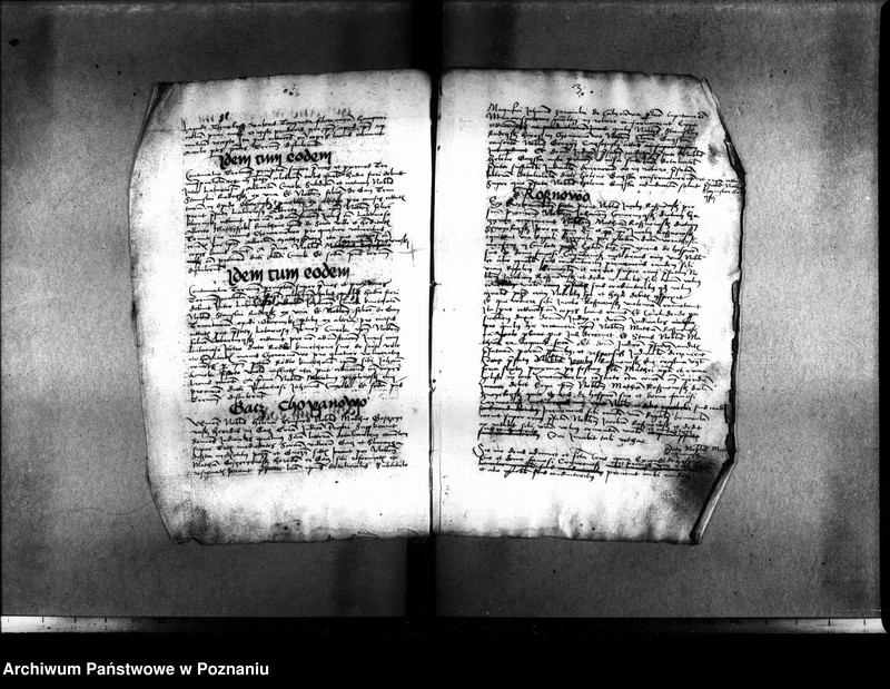 Obraz 10 z jednostki "Inscriptiones, relationes, decreta [inducta]"