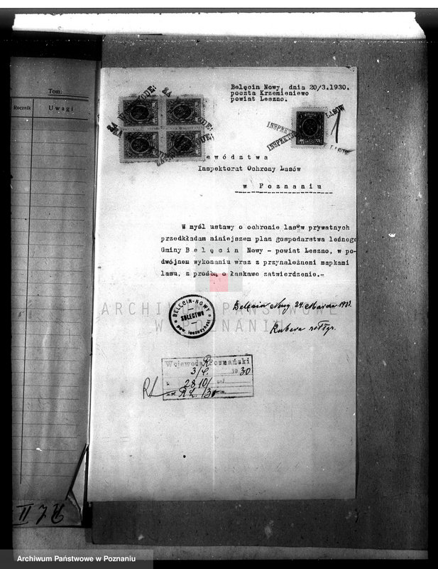 Obraz 5 z jednostki "Las gromady Belęcin-Nowy powiat leszczyński"