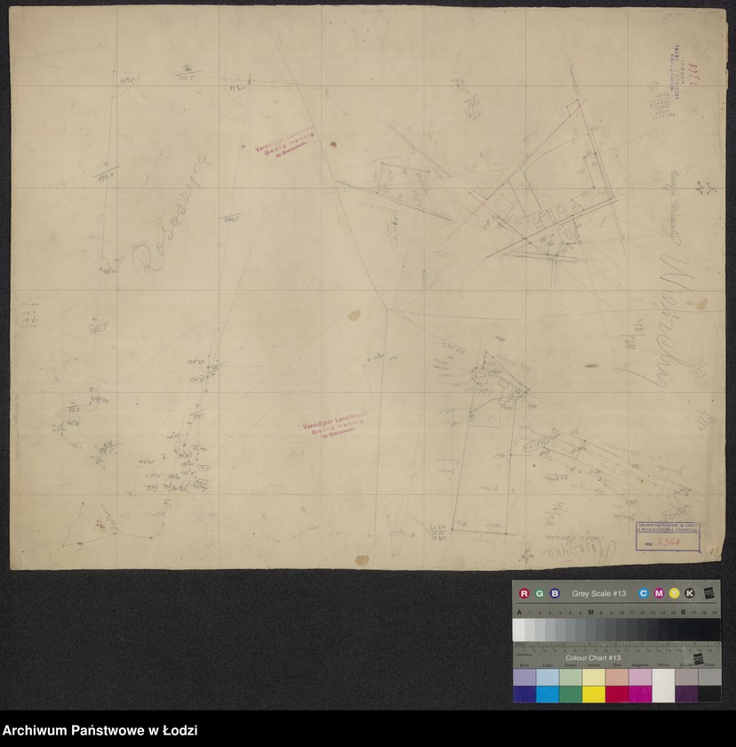 Obraz 1 z jednostki "Szkic folwarku Raduchów"