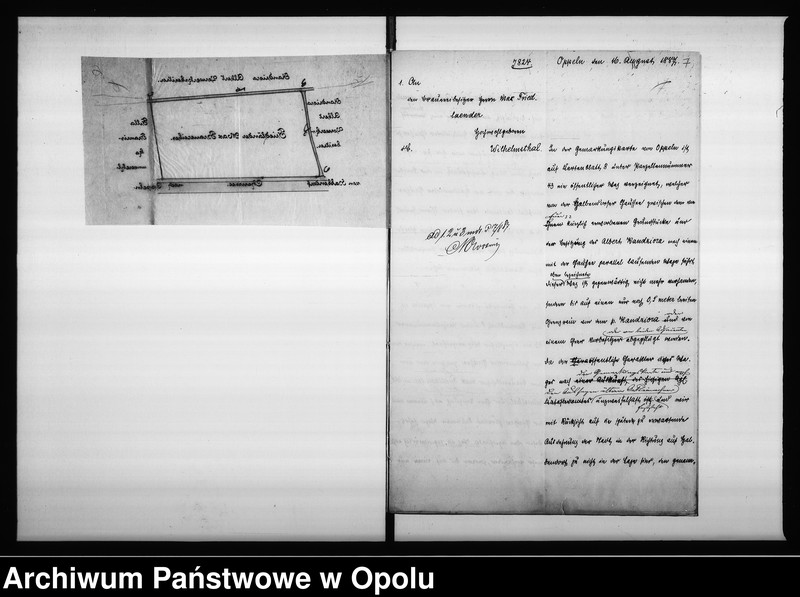 Obraz 10 z jednostki "Acta des Magistrats zu Oppeln betreffend den Weg zwischen dem Friedländer u[nd] Kandziora