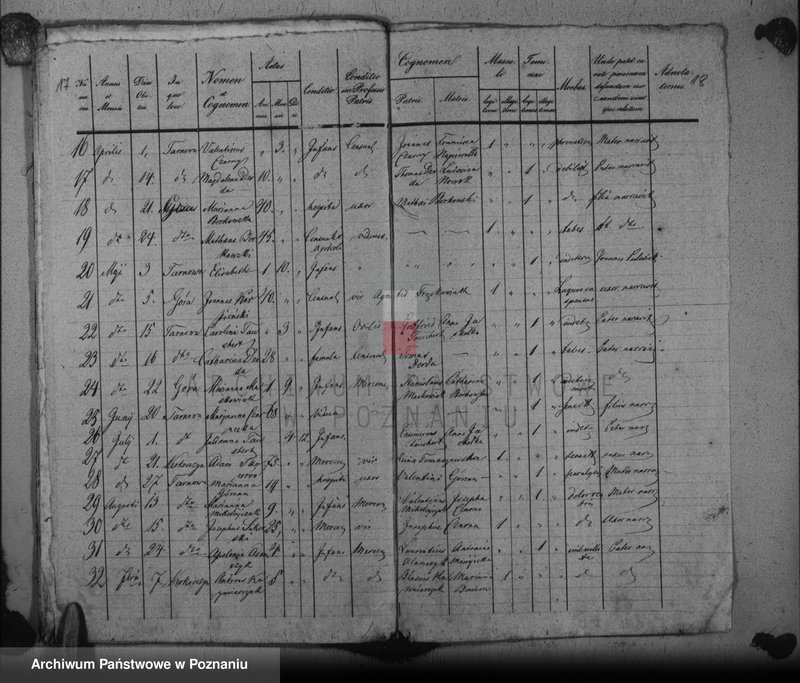 Obraz 16 z jednostki "Duplikat baptisatorum, copulatorum, mortuorum"