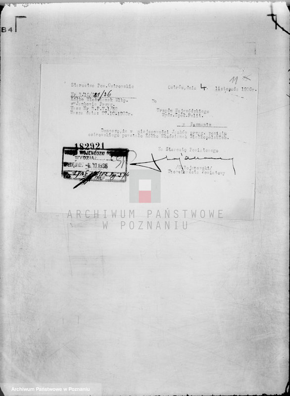 Obraz 15 z jednostki "/Związek Włościanek Wielkopolskich/"