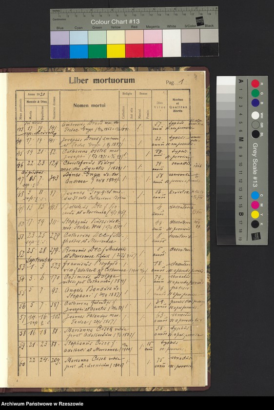 image.from.unit "Księga zgonów - Trzeboś, cz. II"