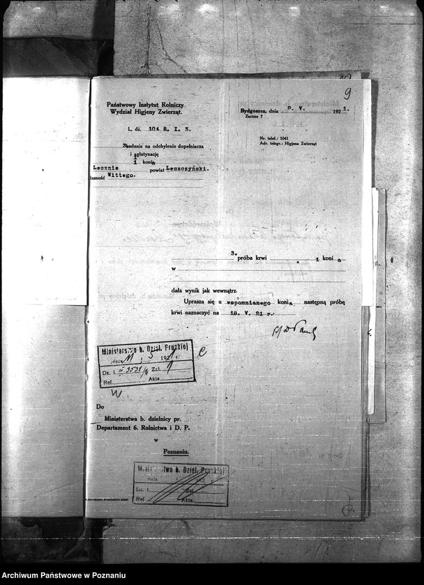 Obraz 12 z jednostki "Nosacizna - Leszno"