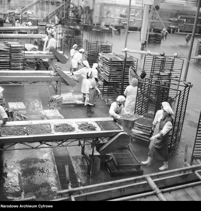 Obraz 9 z jednostki "Zakład produkcyjny Przedsiębiorstwa Handlu Zagranicznego "Hortex" w Płońsku"