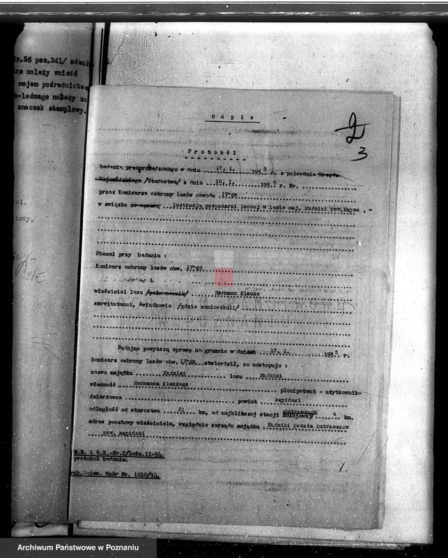 Obraz 7 z jednostki "Lasy majątku Kuźniki powiatu kępińskiego"