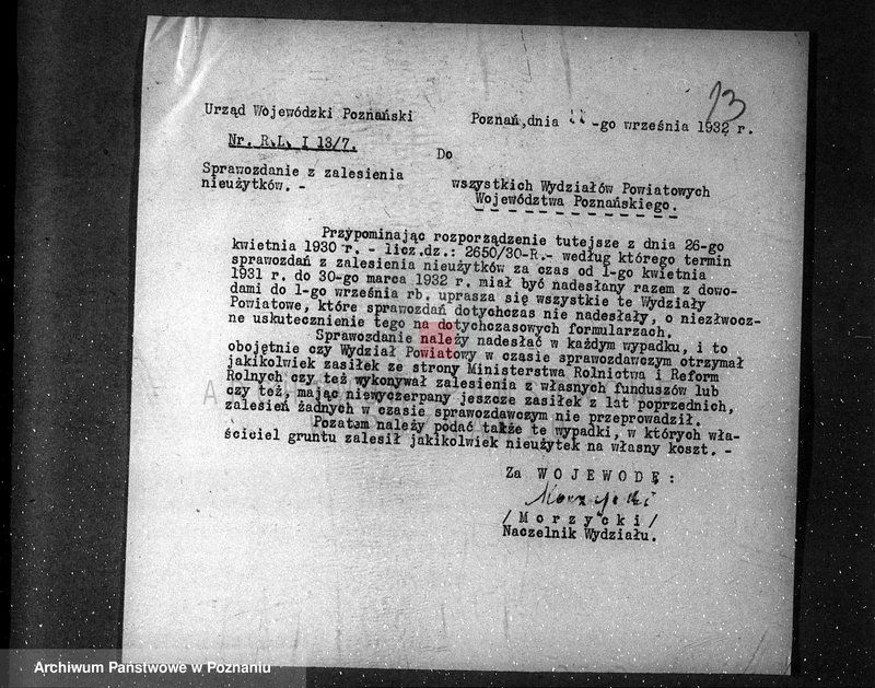 Obraz 17 z jednostki "Zalesienie nieużytków /sprawy ogólne/"