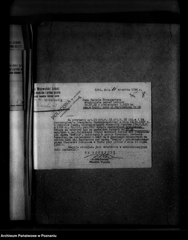 Obraz 12 z jednostki "Parcele leśne p.n.,,Ewelin" gmina Niewiesz powiat turecki"