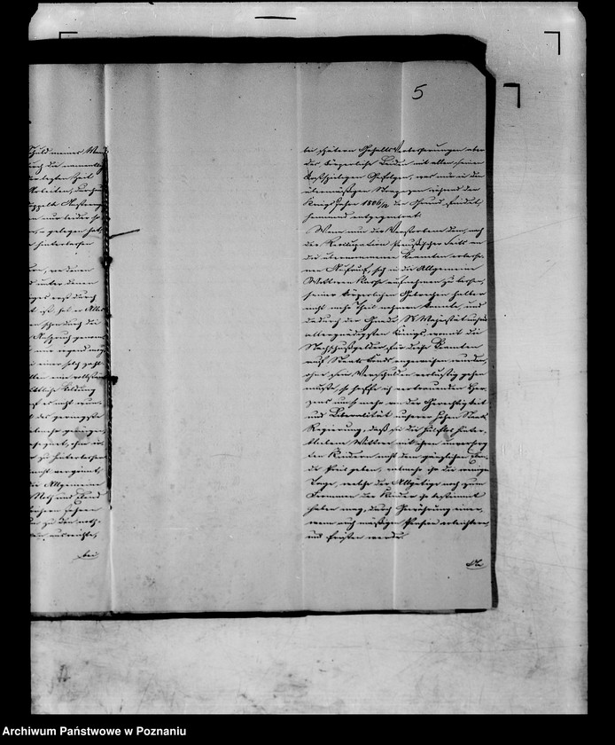 Obraz 9 z jednostki "Die für die Witwe des verstorbenen Regierungssekrätars Ziegler nachgesuchte Pension oder fortdauernde Unterstützung."