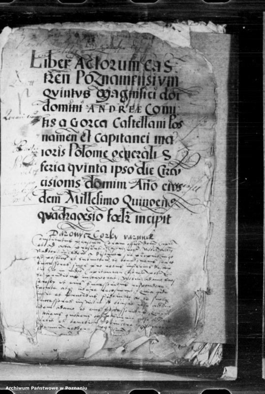 Obraz 3 z jednostki "Inscriptiones, relationes, decreta [inducta]"