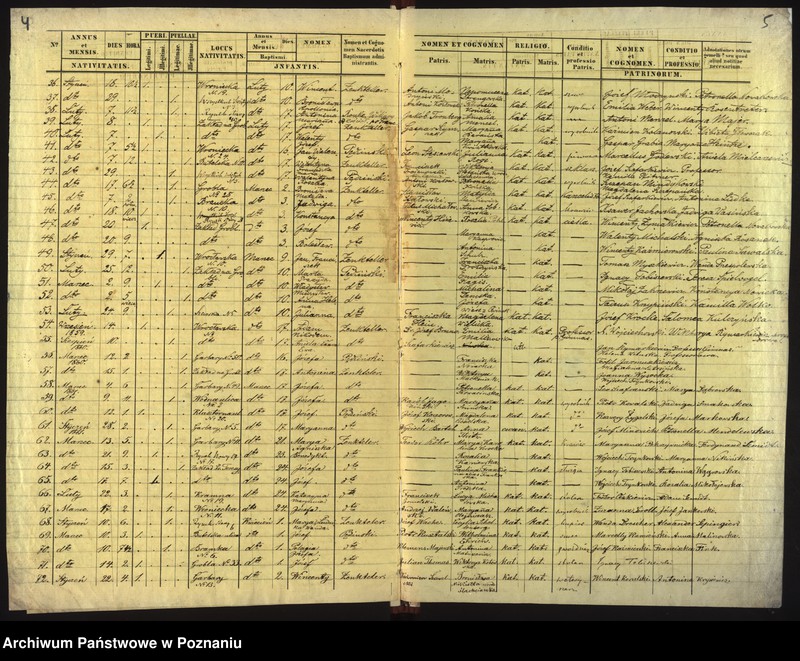 Obraz 5 z jednostki "Księga urodzin"