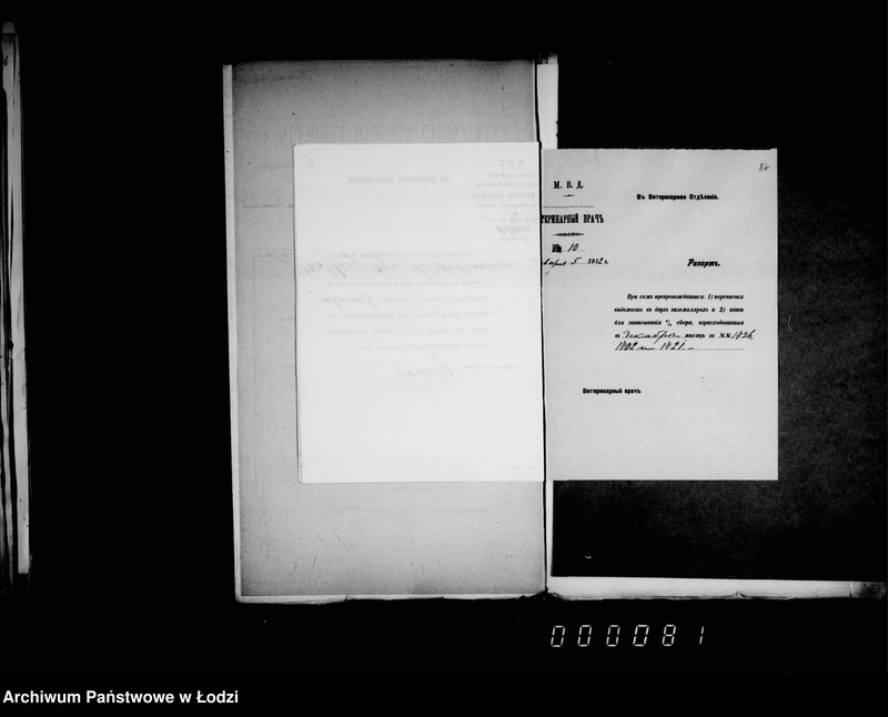 Obraz 20 z jednostki "Po % sboru za 1911 g."