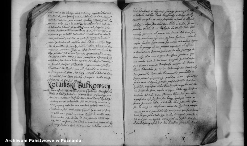 Obraz 7 z jednostki "Inscriptiones [inducta]"