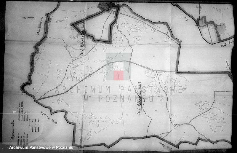 Obraz 19 z jednostki "Rejestr wyłączeń z art. 4 i 5 ustawy o wykonaniu reformy rolnej majątku Łobżenica powiatu wyrzyskiego"