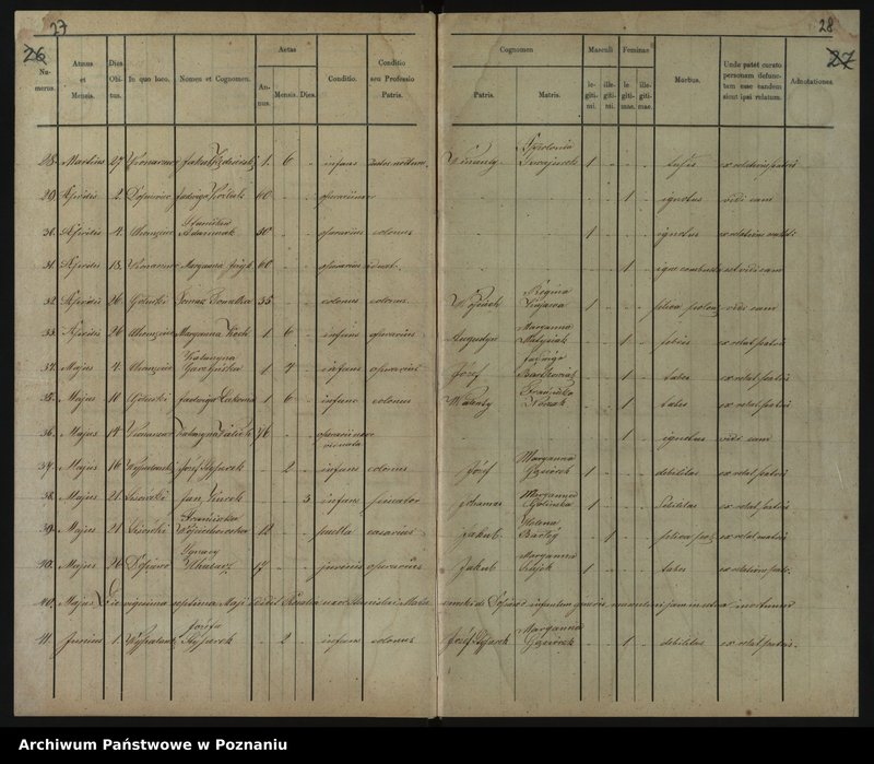 image.from.unit.number "Duplikat baptisatorum, copulatorum, mortuorum"