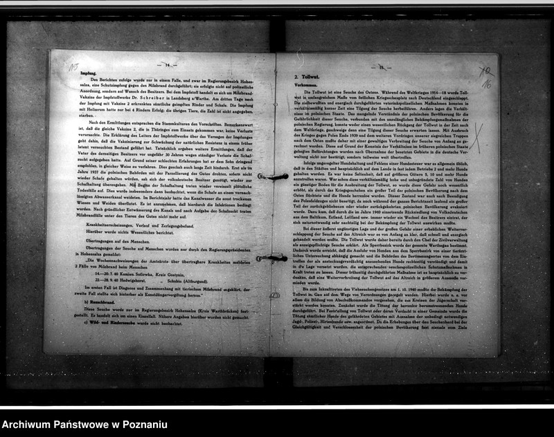 Obraz 15 z jednostki "Jahresveterinärberichte"