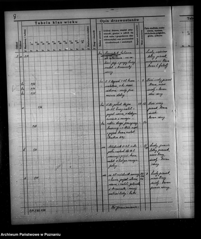 Obraz 12 z jednostki "Program urządzenia gospodarstwa leśnego dla lasu majątku Borowy-Młyn w powiecie międzychodzkim/"