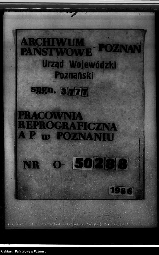 Obraz 20 z jednostki "Nadzór nad gospodarką w lasach majętności Lusówko powiatu poznańskiego"