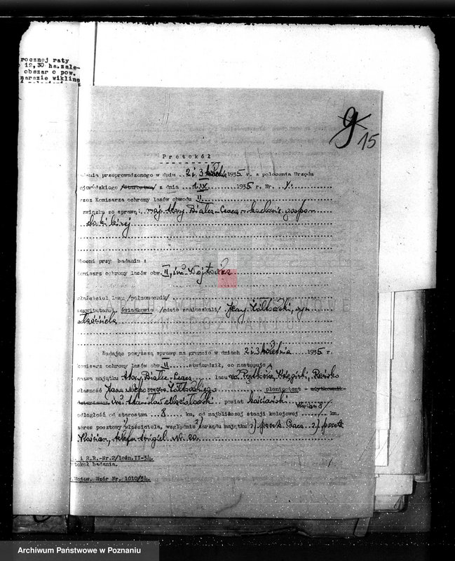 Obraz 19 z jednostki "Nadzór nad gospodarką w lasach majętności Czacz-Białcz powiat kościański"