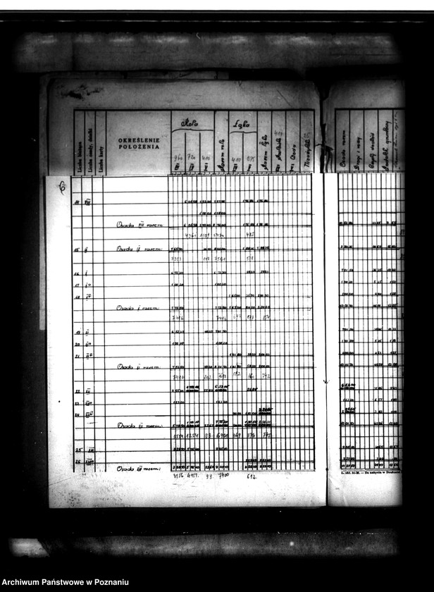 Obraz 10 z jednostki "Tymczasowy rejestr pomiarowo-parcelacyjny majątku Duszniki powiatu szamotulskiego"