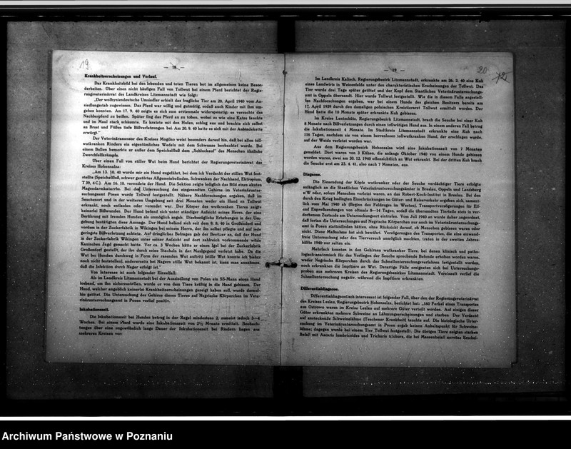 Obraz 17 z jednostki "Jahresveterinärberichte"