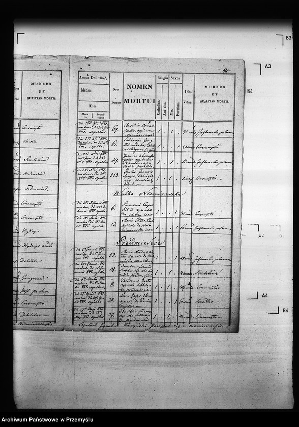 Obraz 18 z jednostki "[Kopie ksiąg metrykalnych parafii Niemirów z filiami Wólka Niemirowska i Przedmieście (dekanat Niemirów)]"