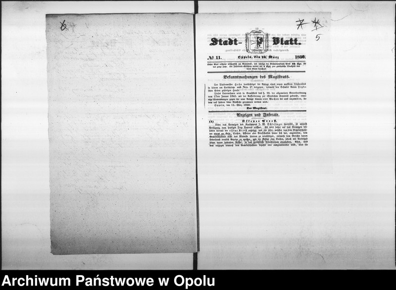 Obraz 8 z jednostki "Acta des Magistrats zu Oppeln betreffend die Prüfung der Anlage eines neuen massiven Töpfernhauses in der Besitzung No 3 b am Karlsplatze de anno 1850"