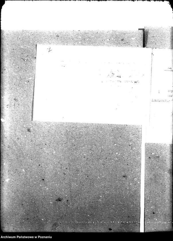 Obraz 12 z jednostki "Weterynaria"