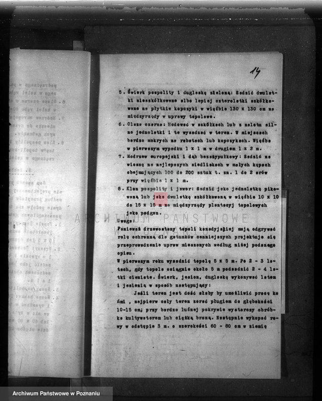 Obraz 18 z jednostki "Dodatkowy plan gospodarstwa leśnego majątku Niemierzewo powiatu międzychodzkiego 1938-1948"