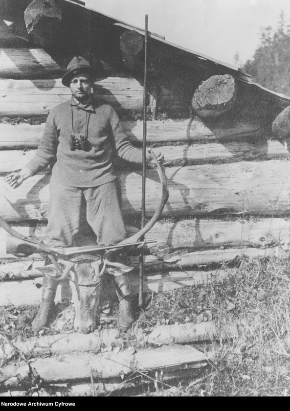 Obraz 2 z jednostki "Polowanie na jelenie w nadleśnictwie Sołotwina, w lasach należących do hrabiego Adama Zdzisława Zamoyskiego"