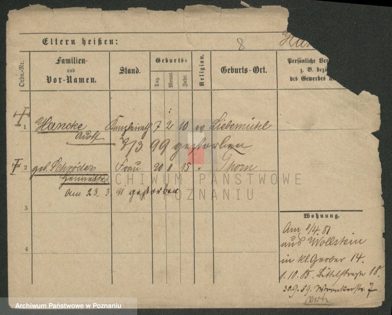 Obraz 8 z jednostki "Hank - Haponik"