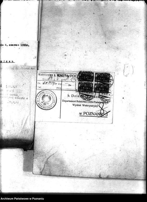 Obraz 17 z jednostki "Zaraza płucna - Leszno"