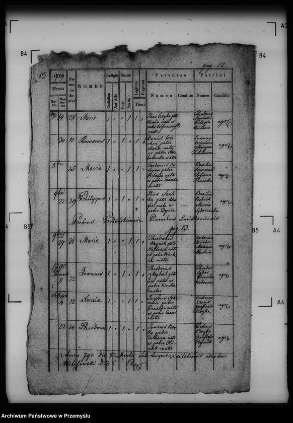 Obraz 20 z jednostki "[Kopie ksiąg metrykalnych parafii Szmitków z filiami Moszków, Sawczyn (dekanat Bełz)]"