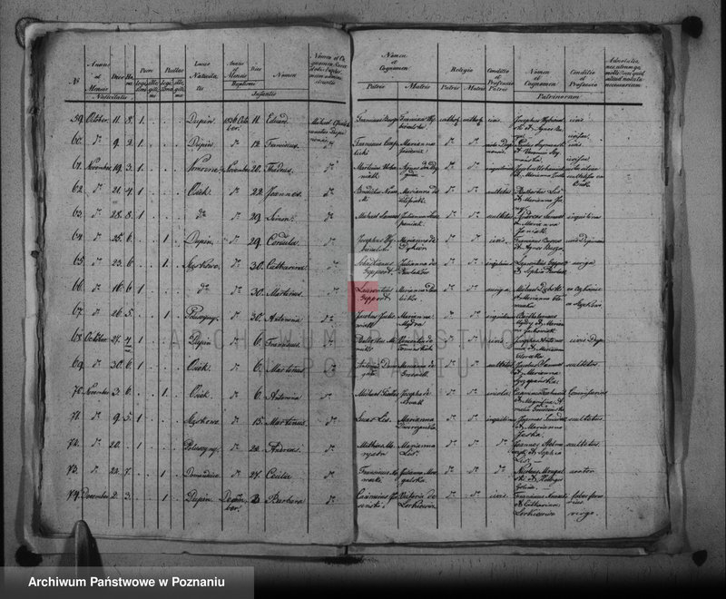 image.from.unit.number "Duplikat baptisatorum, copulatorum, mortuorum"