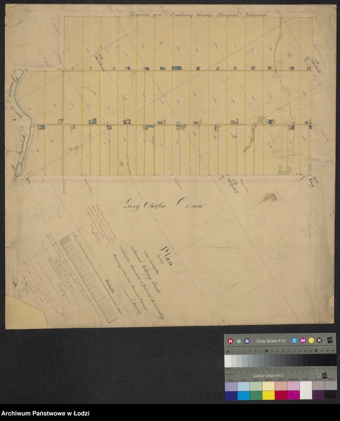 Obraz 1 z jednostki "Plan kolonii Wola Łaznowska w ekonomii rządowej Łaznów ..."