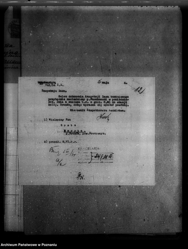 Obraz 16 z jednostki "/Majętność leśna Bugaj / powiat krotoszyński"