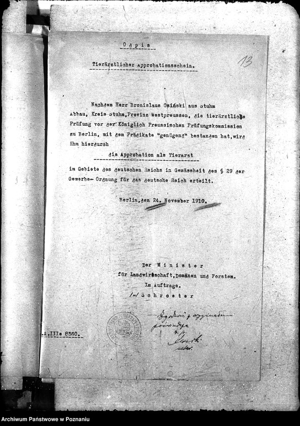 Obraz 17 z jednostki "Pow. lekarz Weterynaryjny Tuchola"