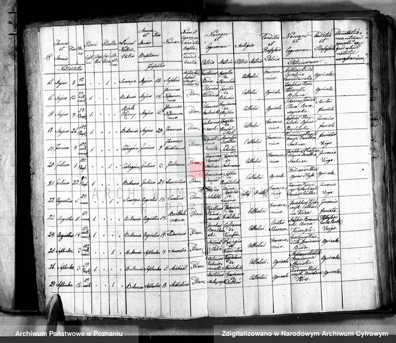 image.from.unit.number "Liber baptisatorum, copulatorum, mortuorum"