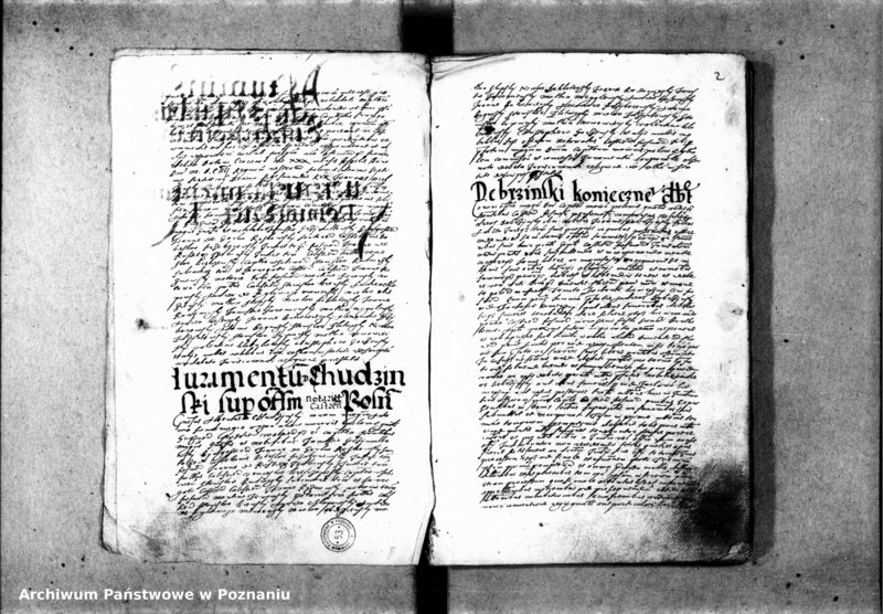 Obraz 6 z jednostki "Inscriptiones [inducta]"