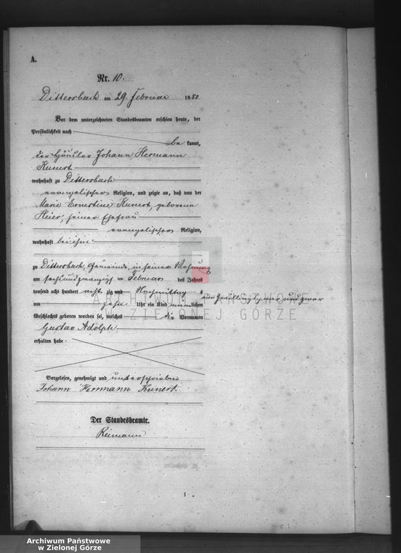 Obraz 13 z jednostki "[Księga aktów urodzeń]"